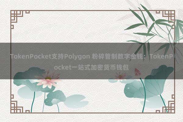 TokenPocket支持Polygon 粉碎管制数字金钱：TokenPocket一站式加密货币钱包