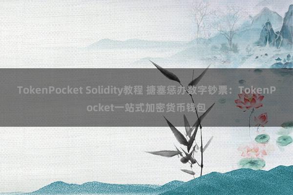 TokenPocket Solidity教程 搪塞惩办数字钞票：TokenPocket一站式加密货币钱包